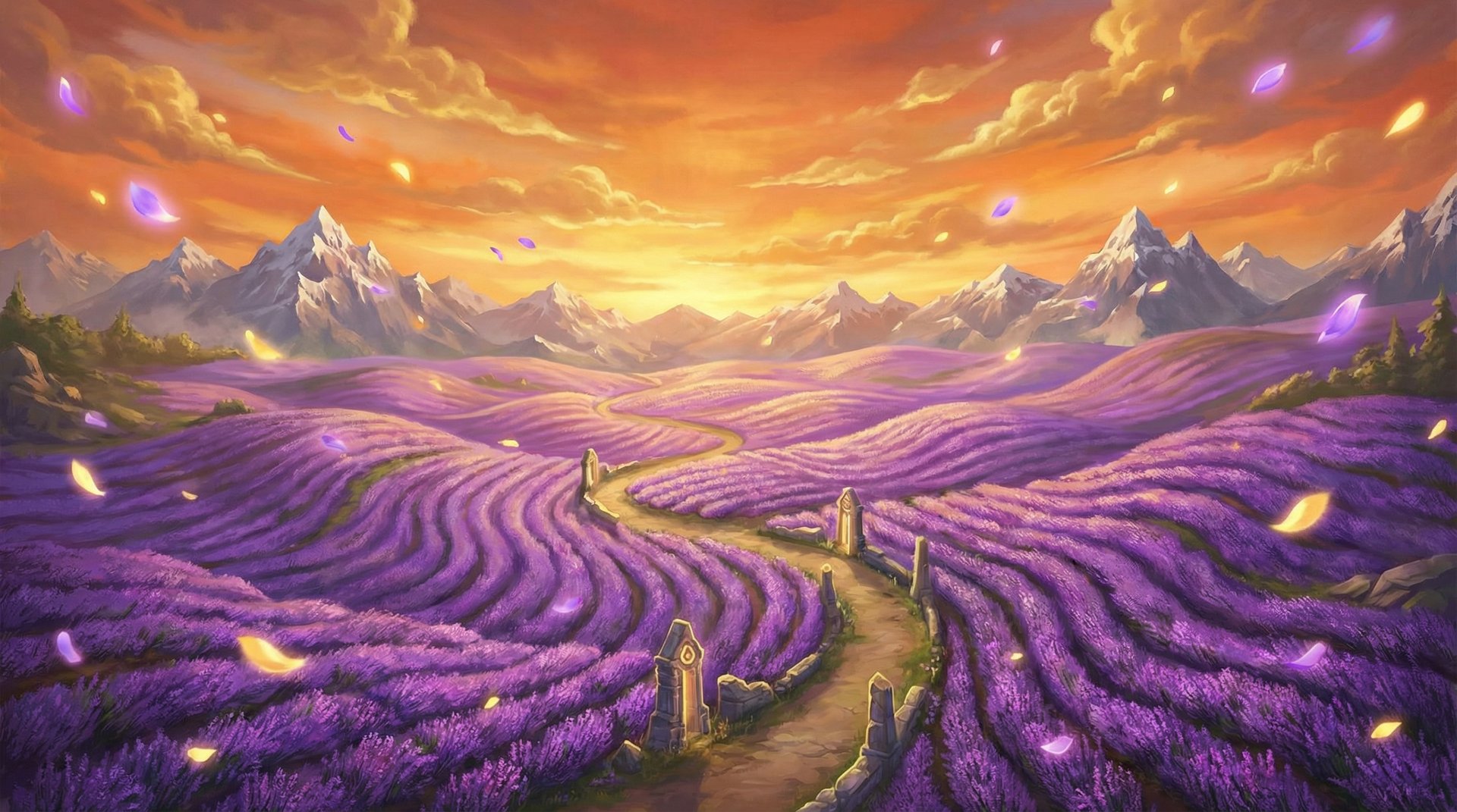 女团薰衣草花海航拍植物视频